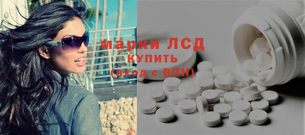 стаф Вяземский