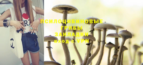 стаф Вяземский