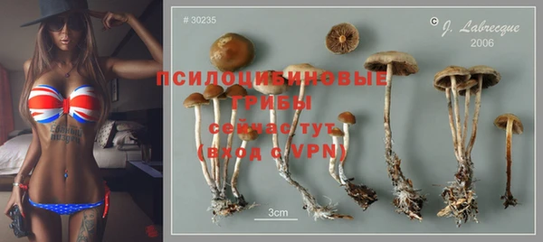 спайс Вязьма