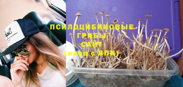 спайс Вязьма