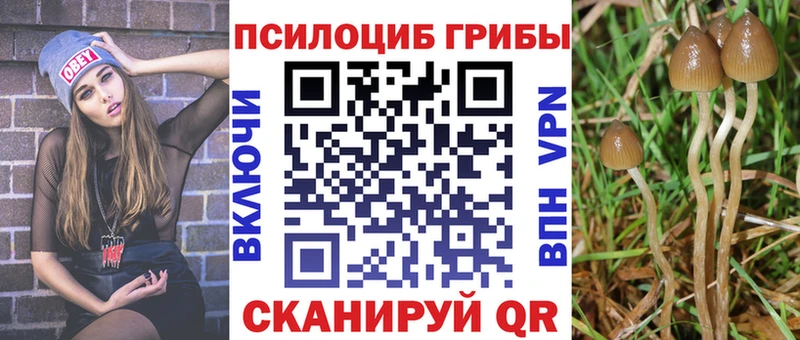 Галлюциногенные грибы ЛСД  нарко площадка как зайти  Донецк 