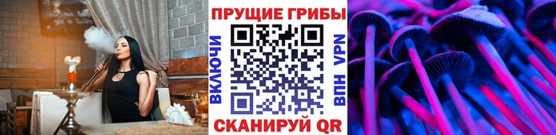 Псилоцибиновые грибы GOLDEN TEACHER Донецк